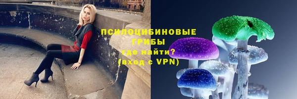 наркотики Гусиноозёрск