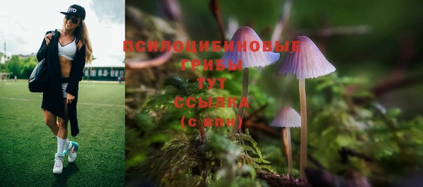 соль курить ск Гусь-Хрустальный