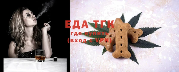 спайс Гусев