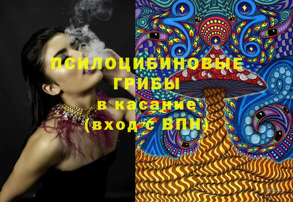 спайс Гусев