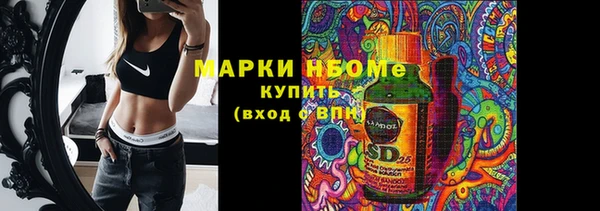 спайс Гусев