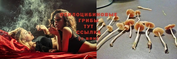 соль курить ск Гусь-Хрустальный