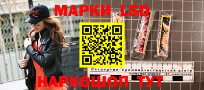 мдпв Гатчина
