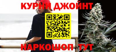 мдпв Гатчина