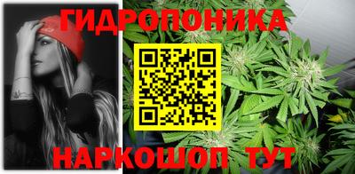 мдпв Гатчина