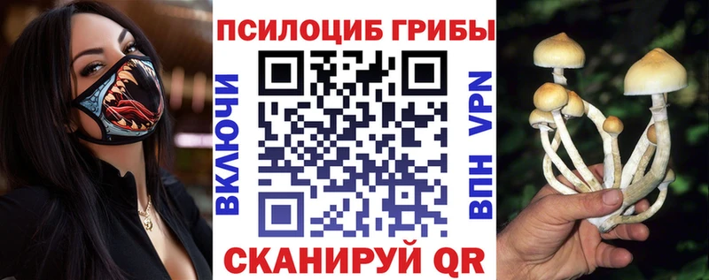 Галлюциногенные грибы Cubensis  магазин  наркотиков  Пушкино 