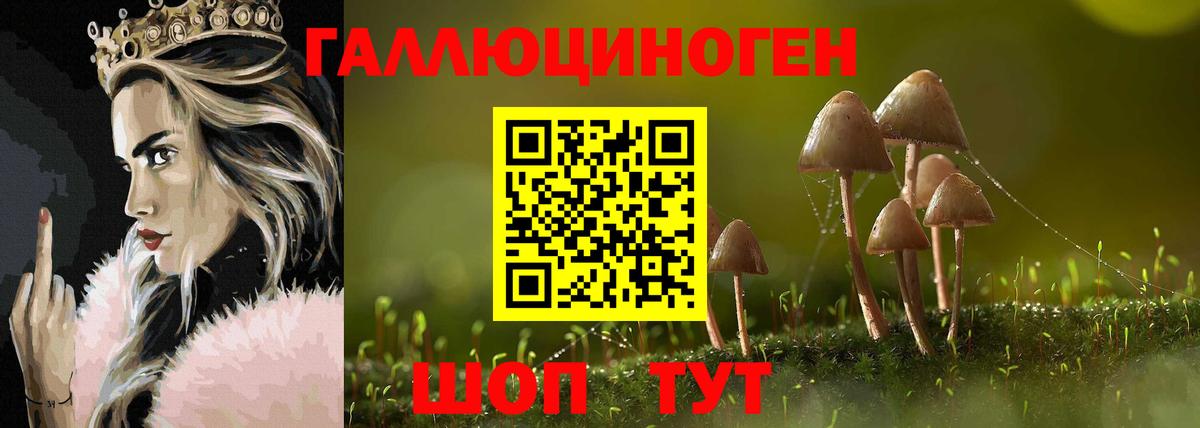 Псилоцибиновые грибы Psilocybe Пушкино